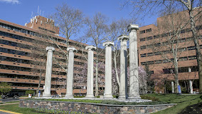 Jefferson Einstein Philadelphia Hospital
