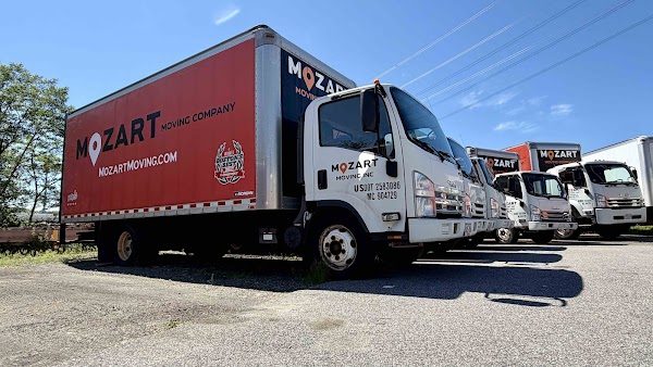 Mozart Movers
