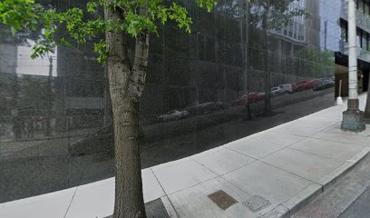 Skidmore & Fomina, PLLC